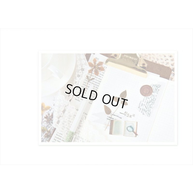 画像9: 本物みたい🌸＊パープル*ビオラ＊透明シール＊40枚＊海外製