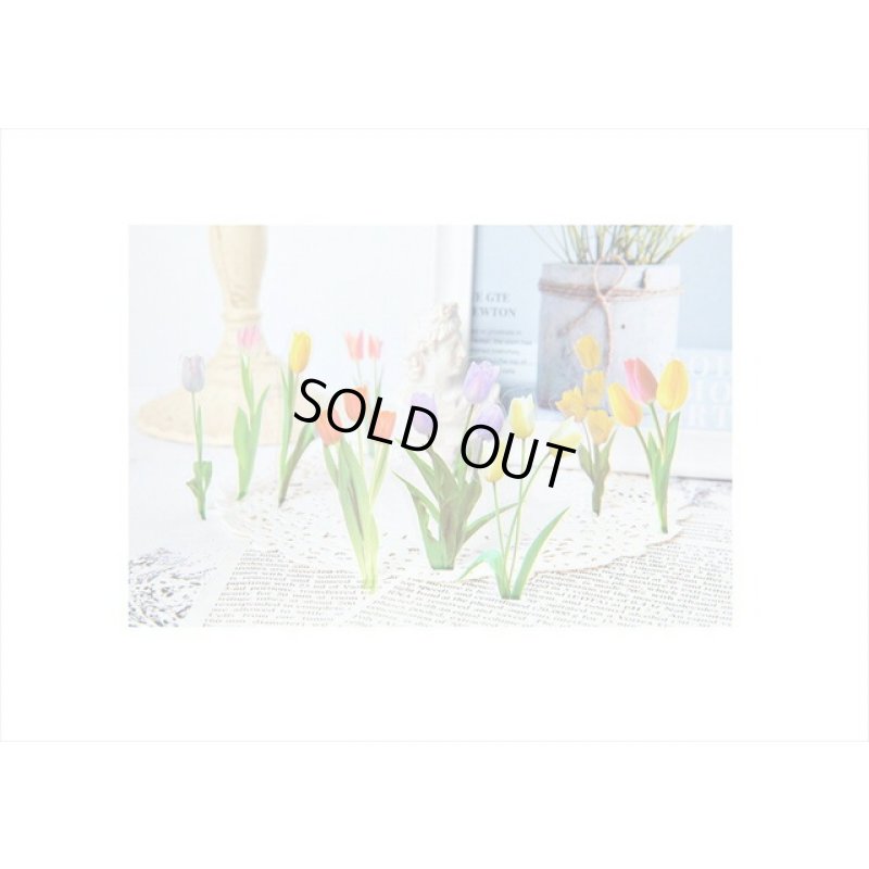 画像4: 本物みたい🌸＊グリーン＊チューリップ🌷＊透明シール＊40枚＊海外製