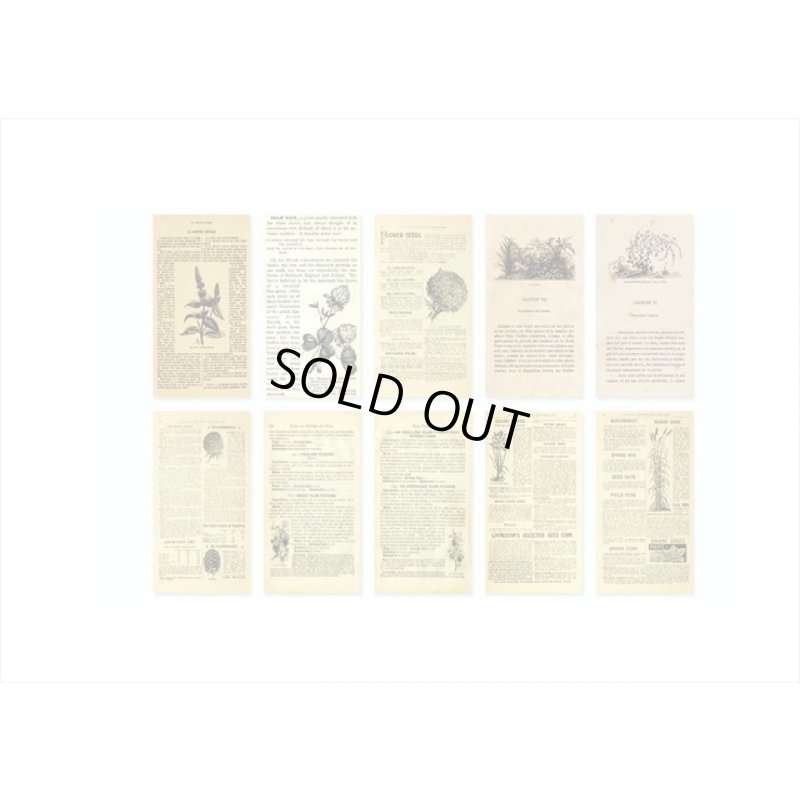 画像7: 植物＊アンティークブックストア＊2種の紙＊60枚＊海外製