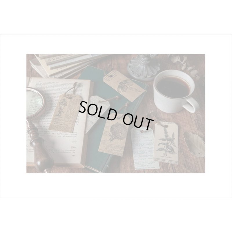 画像8: 植物＊アンティークブックストア＊2種の紙＊60枚＊海外製