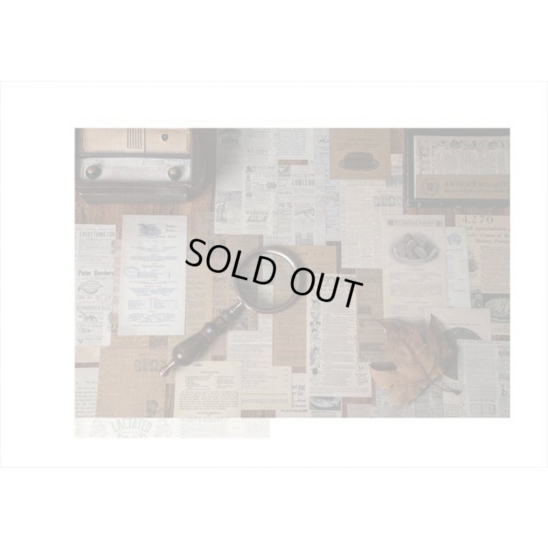 画像9: 植物＊アンティークブックストア＊2種の紙＊60枚＊海外製