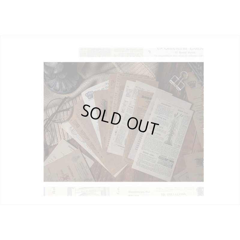 画像6: 植物＊アンティークブックストア＊2種の紙＊60枚＊海外製