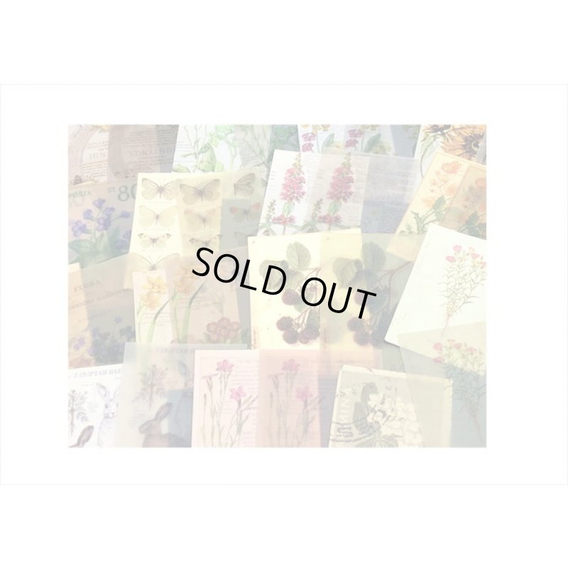 画像4: どっちが好き？フラワー＊2種のペーパー＊トレペ＊30枚入り＊海外製