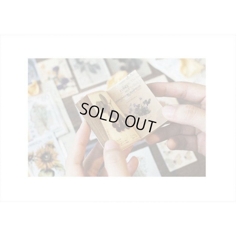 画像8: どっちが好き？フラワー＊2種のペーパー＊トレペ＊30枚入り＊海外製