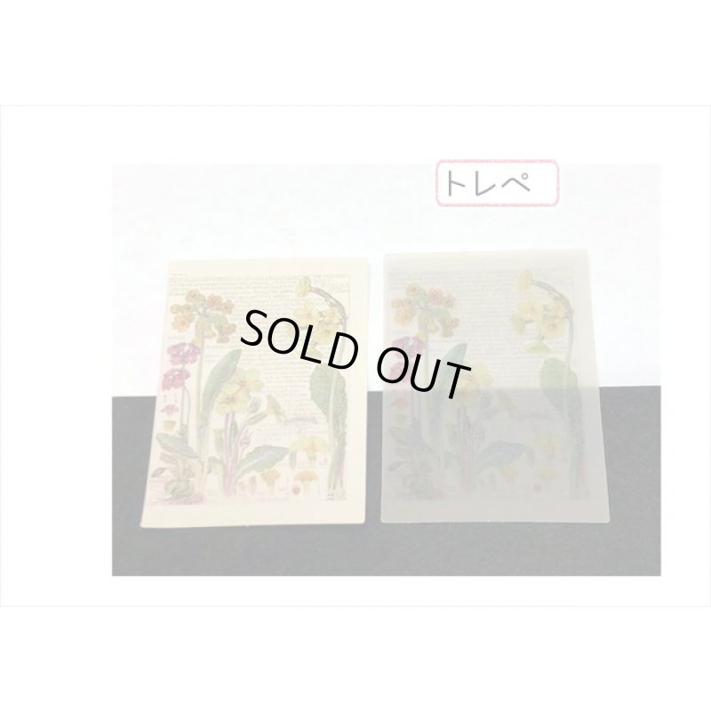 画像6: どっちが好き？フラワー＊2種のペーパー＊トレペ＊30枚入り＊海外製