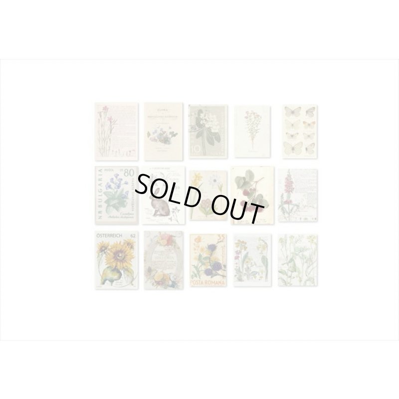 画像7: どっちが好き？フラワー＊2種のペーパー＊トレペ＊30枚入り＊海外製