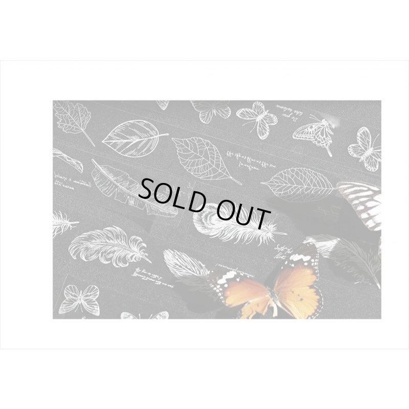 画像14: 芭蕉　透明マステ　PETテープ　はく離式　海外製　クリックポスト不可