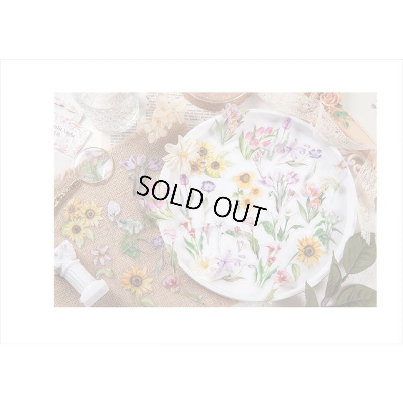 画像8: 持ち手付き＊本物みたい🌸リーフ（葉）＊防水＊透明シール＊30枚＊海外製