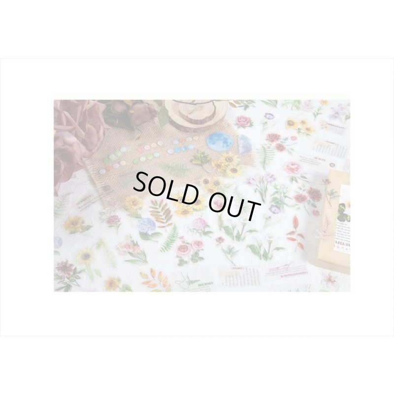 画像10: 持ち手付き＊本物みたい🌸リーフ（葉）＊防水＊透明シール＊30枚＊海外製