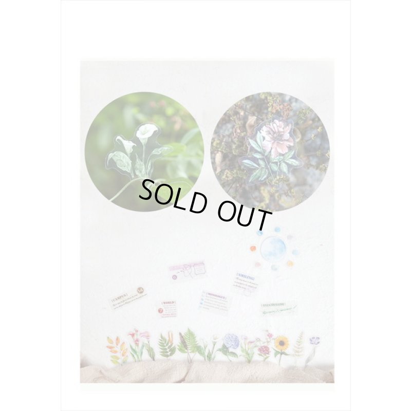 画像4: 持ち手付き＊本物みたい🌸リーフ（葉）＊防水＊透明シール＊30枚＊海外製