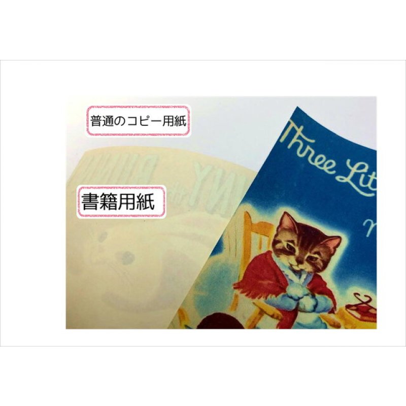 画像6: はがきサイズ＊海外童話＊うさぎとお友達＊ペーパーセット＊オリジナル