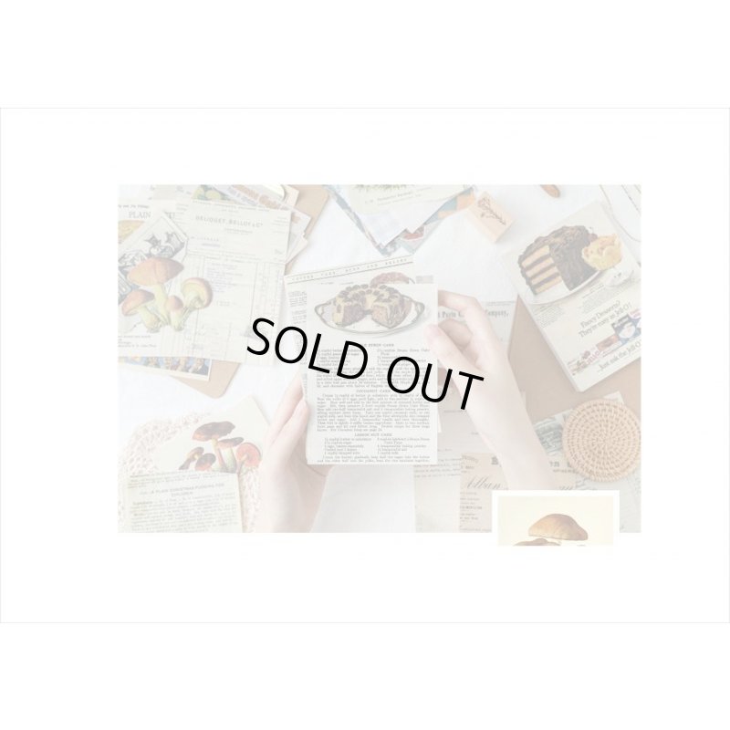 画像13: スイーツ　メモ帳風　１００枚入り　海外製