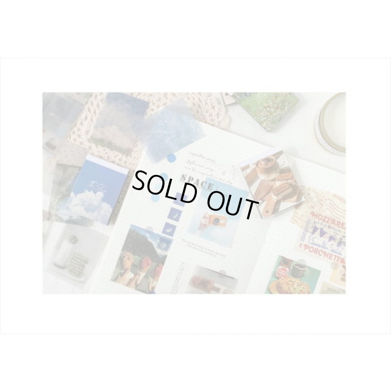 画像14: ミニトレペ♪レトロアニマル＊柄違い100枚＊ 海外製