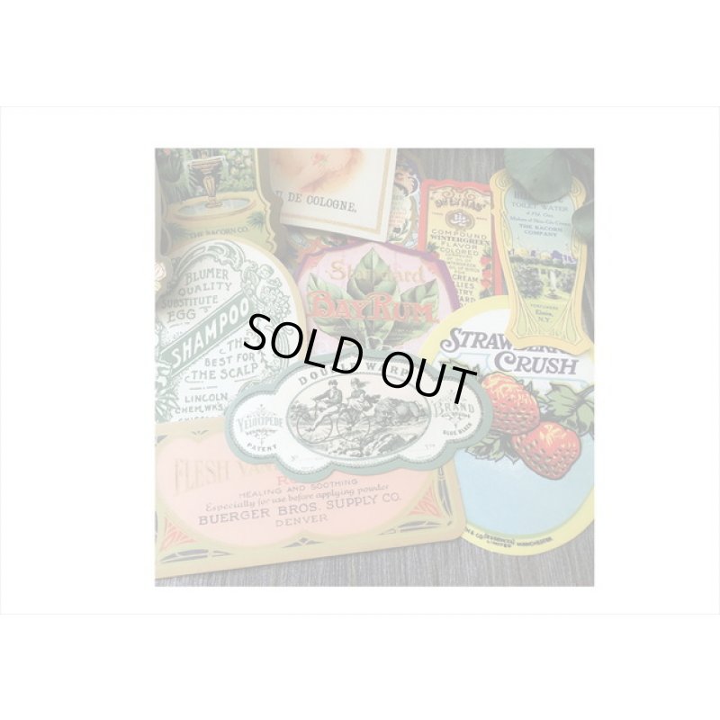 画像3: ヴィンテージ風ラベルシール＊コロン＊12枚＊海外製