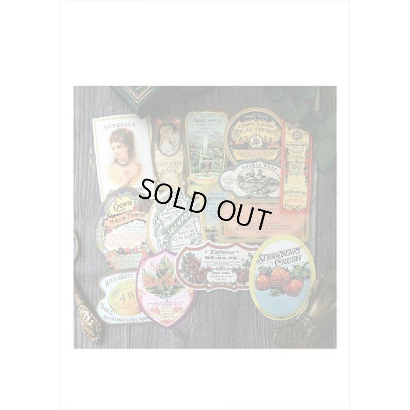 画像6: ヴィンテージ風ラベルシール＊コロン＊12枚＊海外製