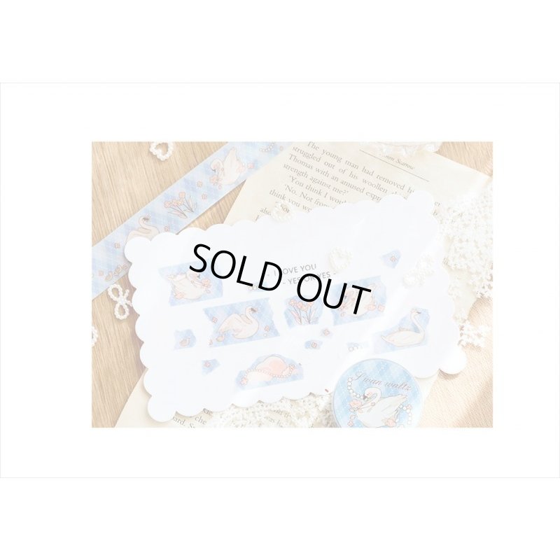 画像12: 可愛い　アニマル　６巻セット　海外マステ