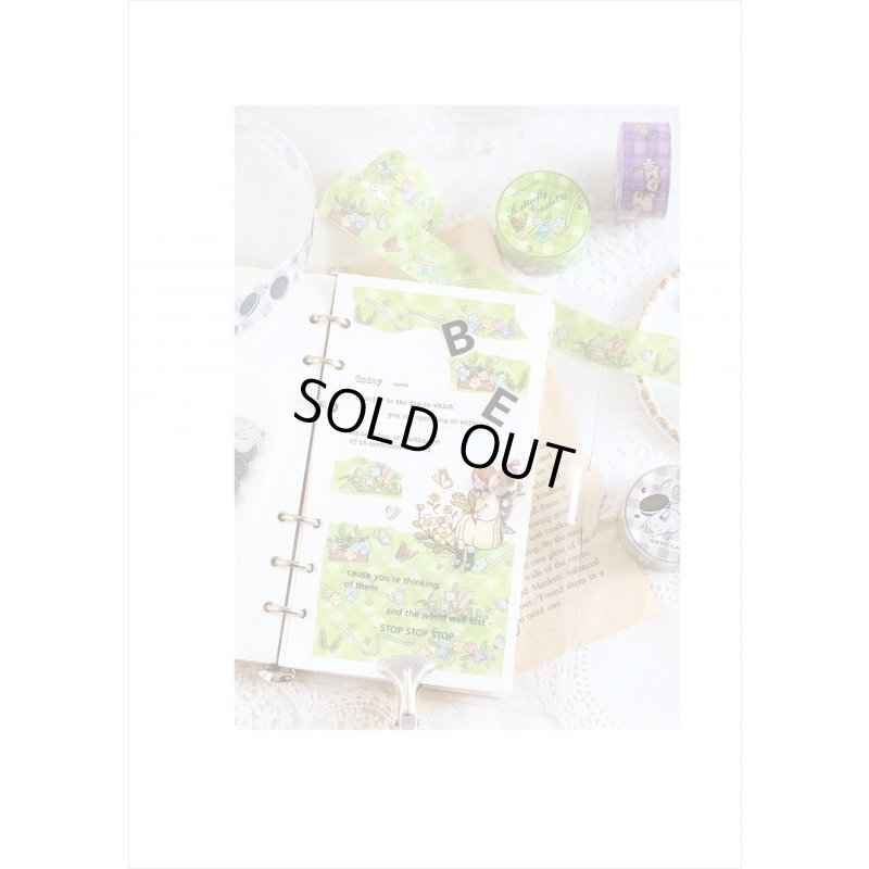 画像11: 可愛い　アニマル　６巻セット　海外マステ