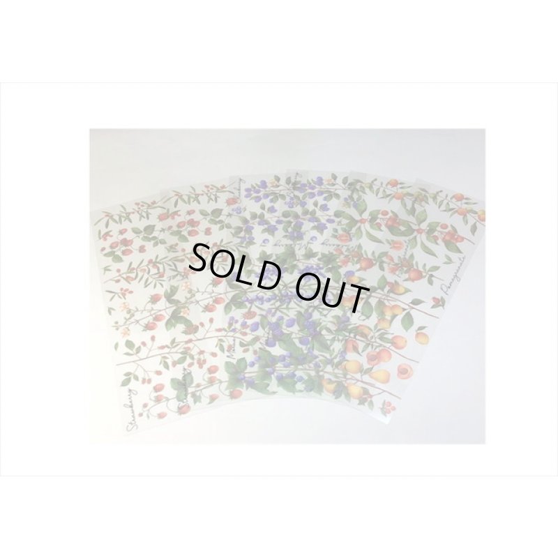 画像5: 3種の果物＊苺＆桃＆ブルーベリー＊防水＊透明シール＊海外製