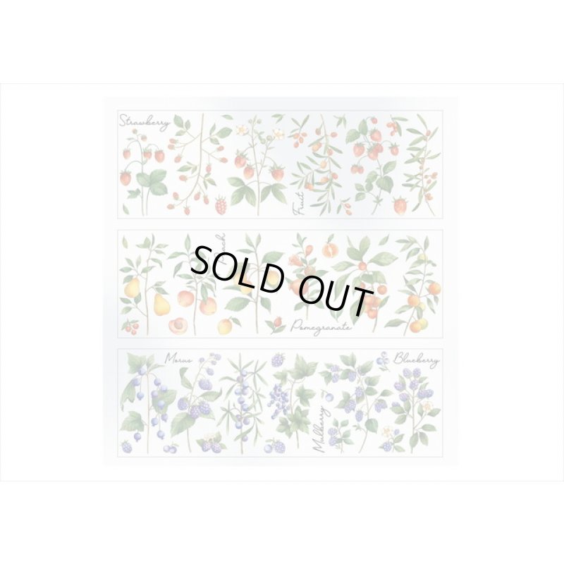 画像7: 3種の果物＊苺＆桃＆ブルーベリー＊防水＊透明シール＊海外製