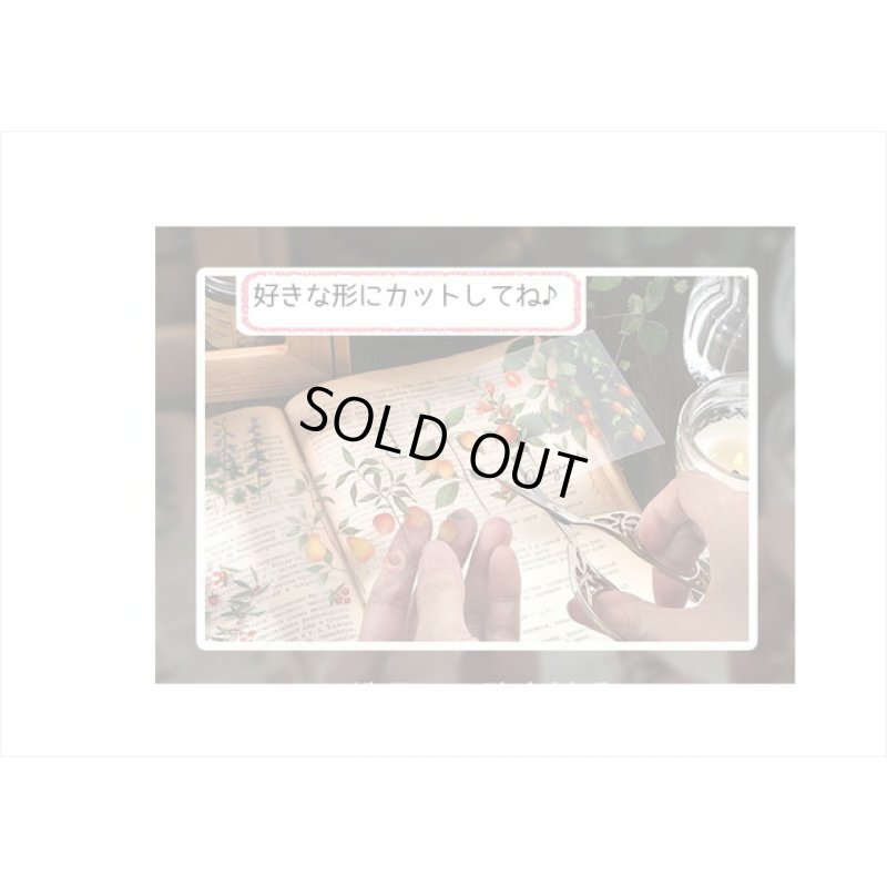 画像8: 3種の果物＊苺＆桃＆ブルーベリー＊防水＊透明シール＊海外製