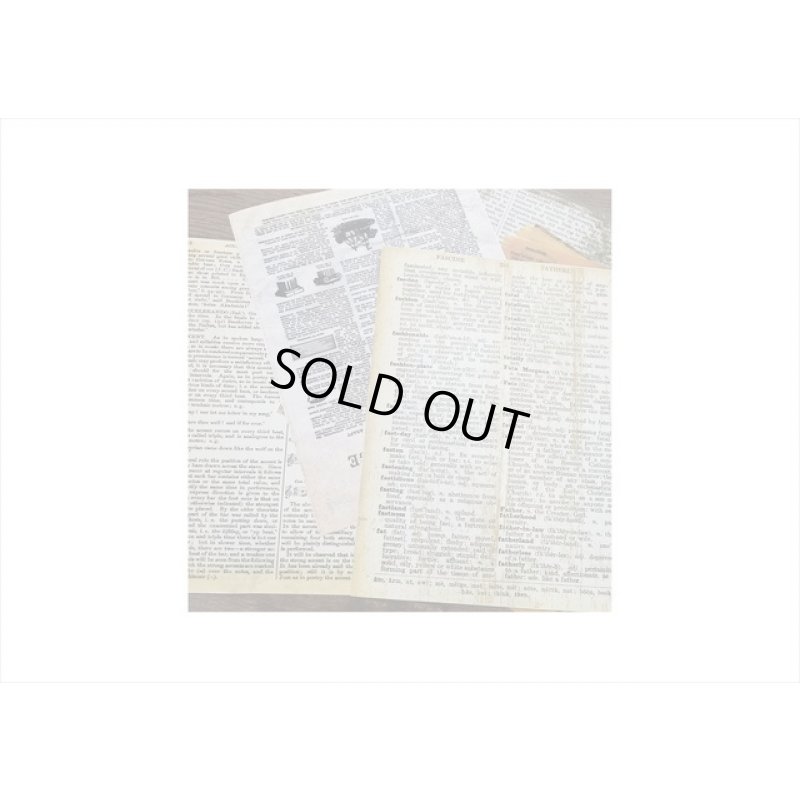 画像4: トレペ入りペーパーセット＊辞書＊柄違い8枚＊海外製