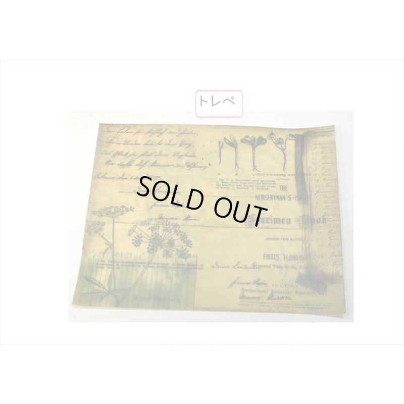 画像9: トレペ入りペーパーセット＊BINGO＊柄違い8枚＊海外製