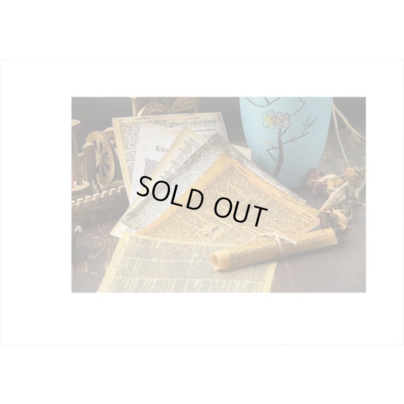 画像6: トレペ入りペーパーセット＊辞書＊柄違い8枚＊海外製