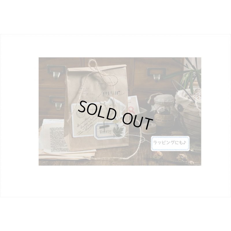 画像12: 封筒入り♪刺繍・ソーイング＊ダイカットペーパーセット＊30枚＊海外製