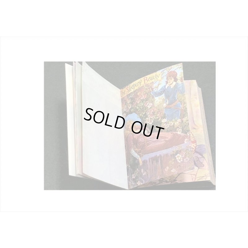 画像8: ちっちゃな本＊童話＊100枚＊ 海外製