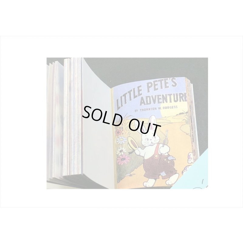 画像12: ちっちゃな本＊童話＊100枚＊ 海外製