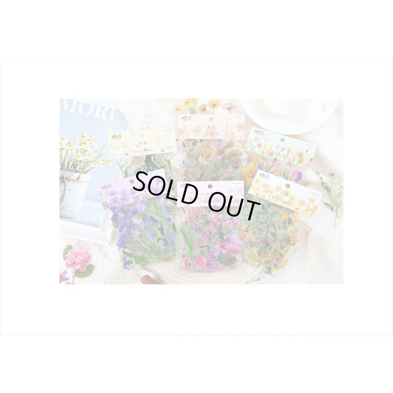 画像5: 本物みたい🌸＊クリーム＊ノースポール＊透明シール＊40枚＊海外製