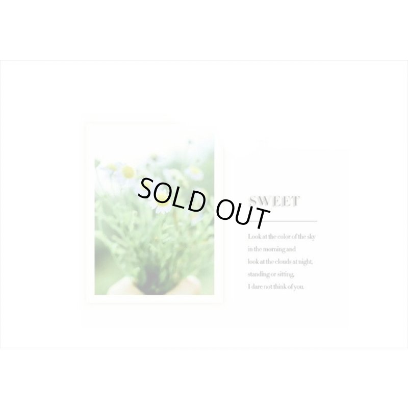 画像3: 本物みたい🌸＊クリーム＊ノースポール＊透明シール＊40枚＊海外製