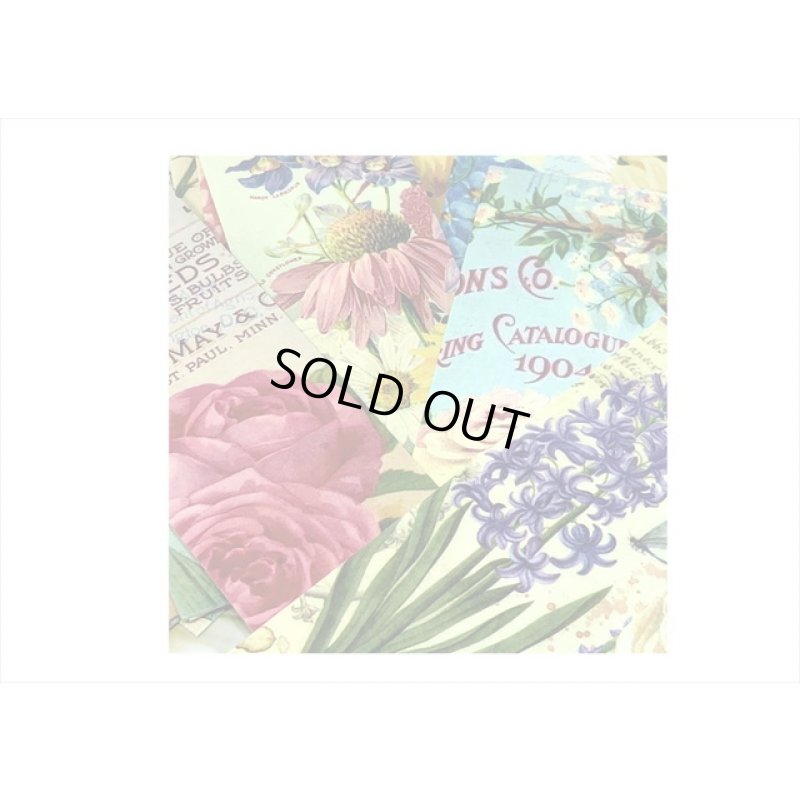 画像4: ブックマークにもなる♪フラワー＊箱入り＊ペーパーセット＊30枚＊ 海外製