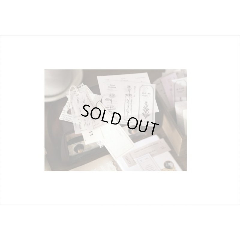 画像7: バッグ式♪植物・ピンク＊ミシン目入り＊トレペも入ったペーパーセット＊20シート＊海外製