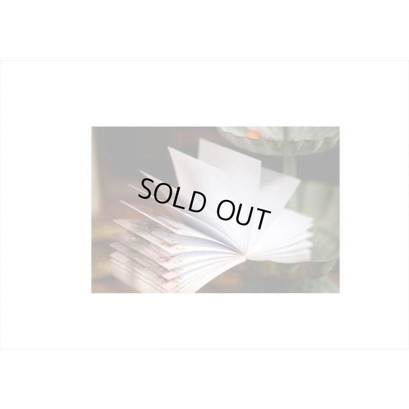 画像13: 使えない(≧∇≦)ブロックメモ＊きのこ＊マッシュルーム＊400枚!!＊海外製　クリックポスト不可