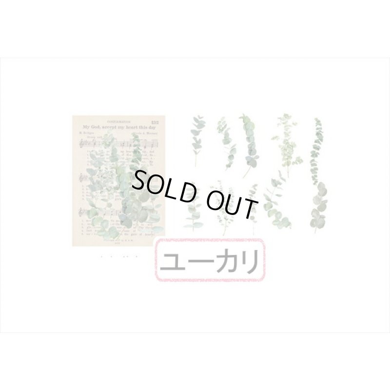 画像3: ユーカリ＊讃美歌＊大きな台紙セット＊透明シール＊海外製