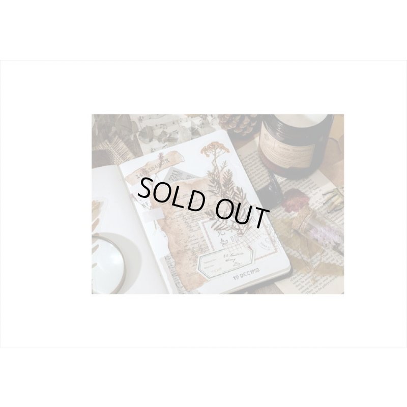 画像14: ユーカリ＊讃美歌＊大きな台紙セット＊透明シール＊海外製