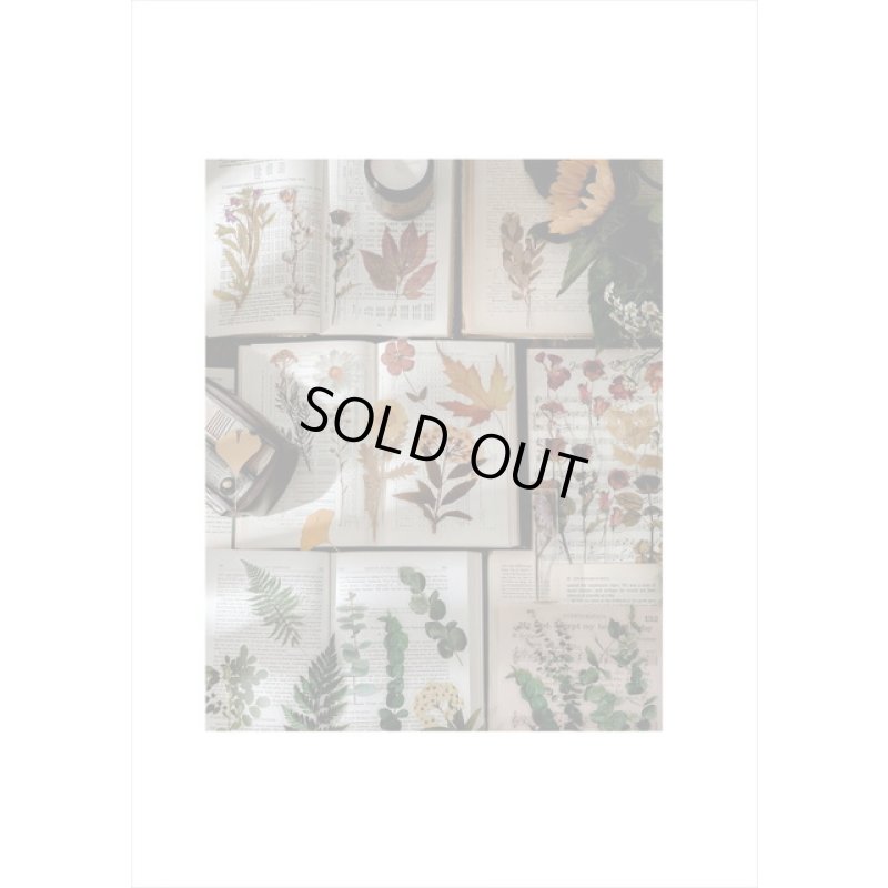 画像16: イエロー＊何語かな？＊大きな台紙セット＊透明シール＊海外製