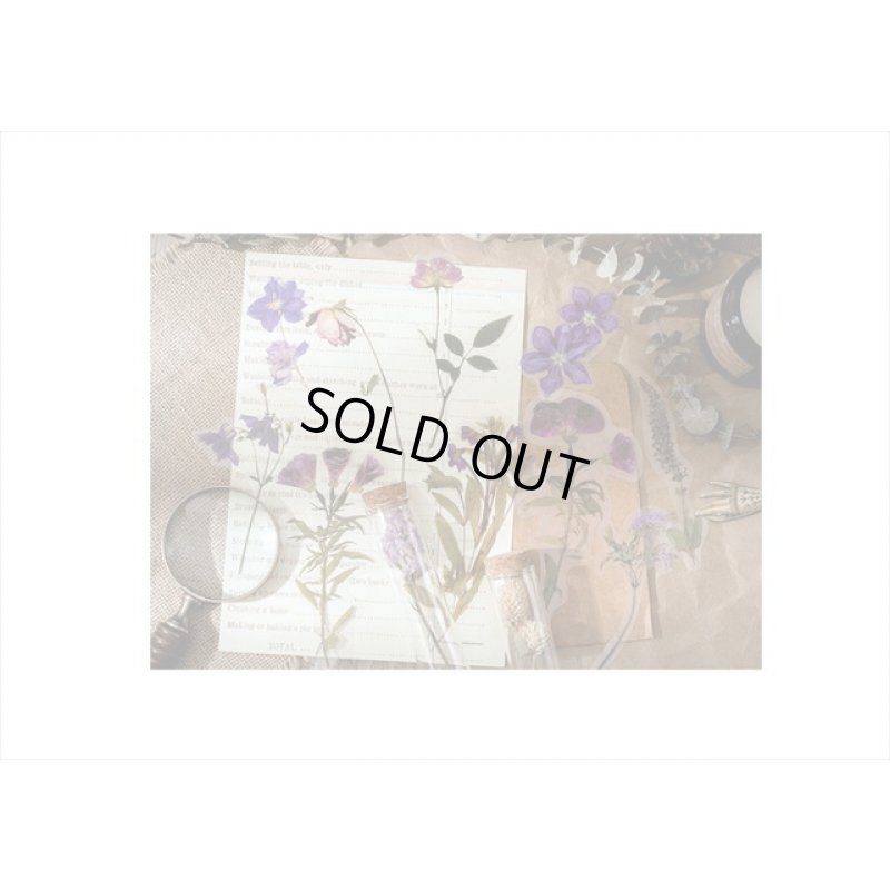 画像3: パープル＊ホテル伝票＊透明シール＊海外製