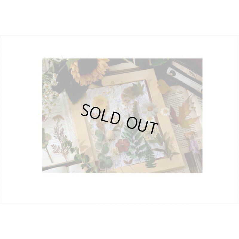 画像7: パープル＊ホテル伝票＊透明シール＊海外製