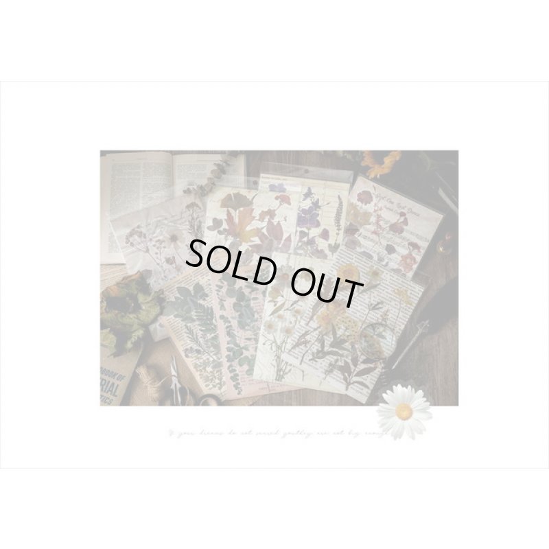 画像19: パープル＊ホテル伝票＊透明シール＊海外製