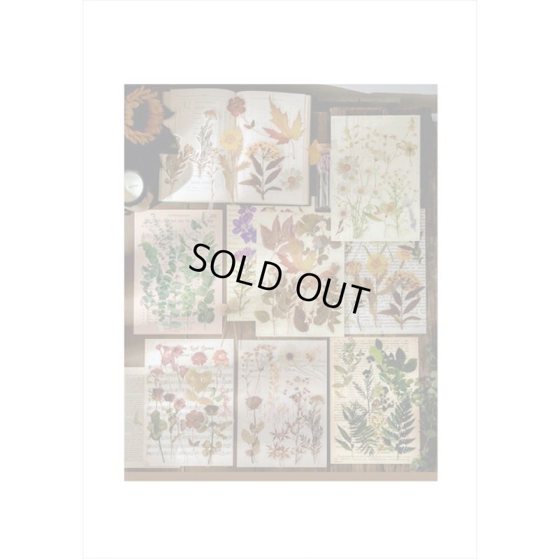 画像18: パープル＊ホテル伝票＊透明シール＊海外製