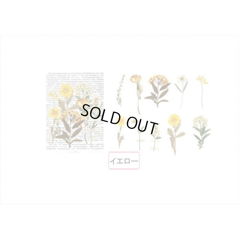 画像3: イエロー＊何語かな？＊大きな台紙セット＊透明シール＊海外製