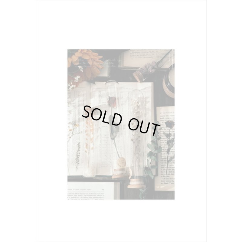 画像8: イエロー＊何語かな？＊大きな台紙セット＊透明シール＊海外製