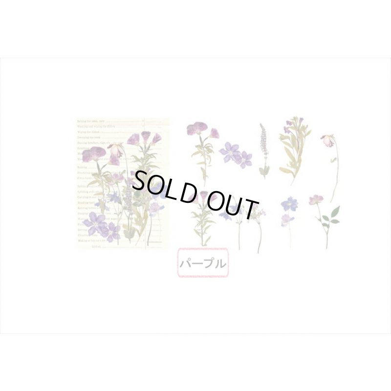 画像4: パープル＊ホテル伝票＊透明シール＊海外製