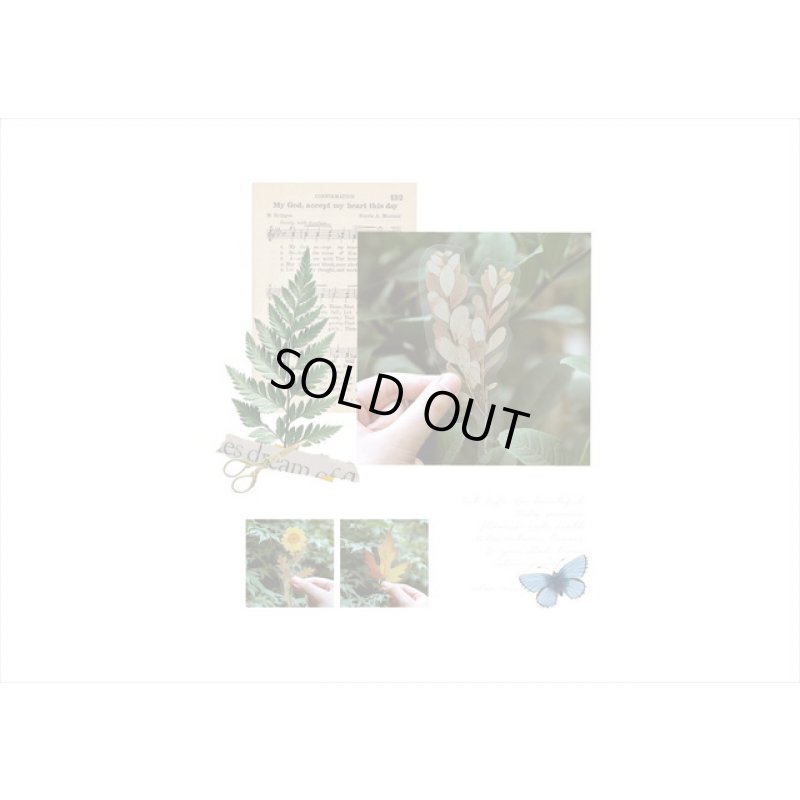 画像16: パープル＊ホテル伝票＊透明シール＊海外製