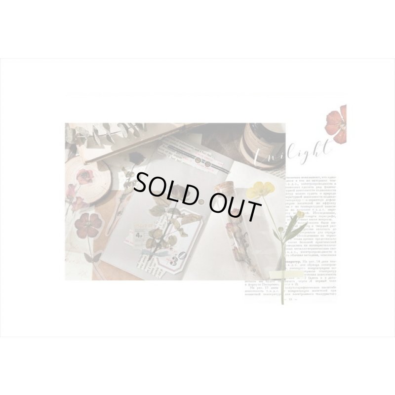 画像12: パープル＊ホテル伝票＊透明シール＊海外製