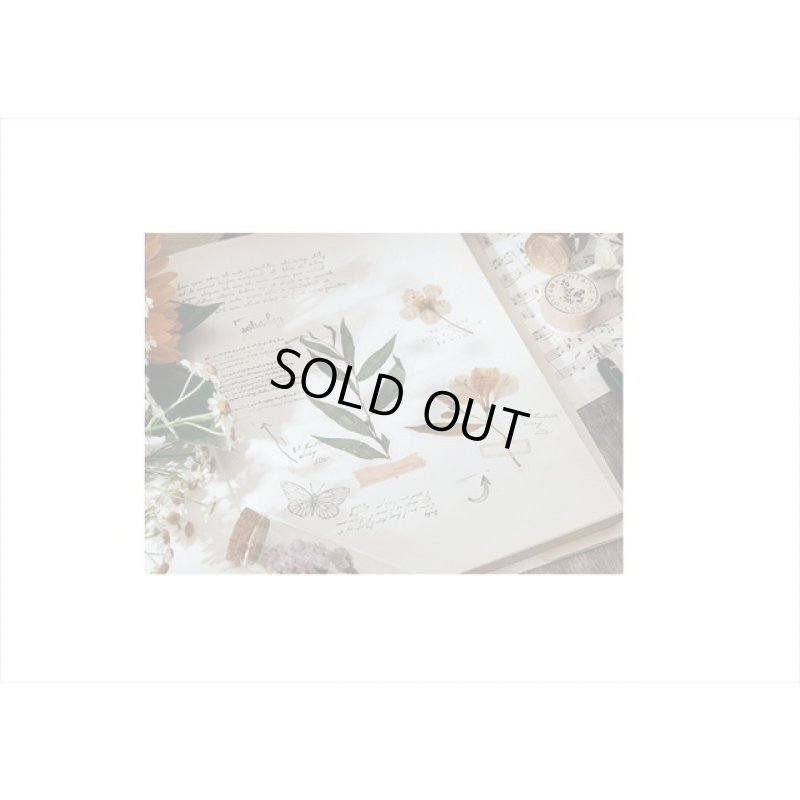 画像11: パープル＊ホテル伝票＊透明シール＊海外製