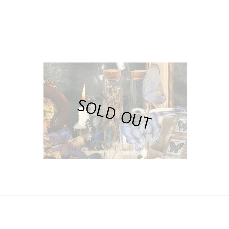 画像12: 葉っぱ・ユーカリとボトル＊PETシール＊21枚＊海外製