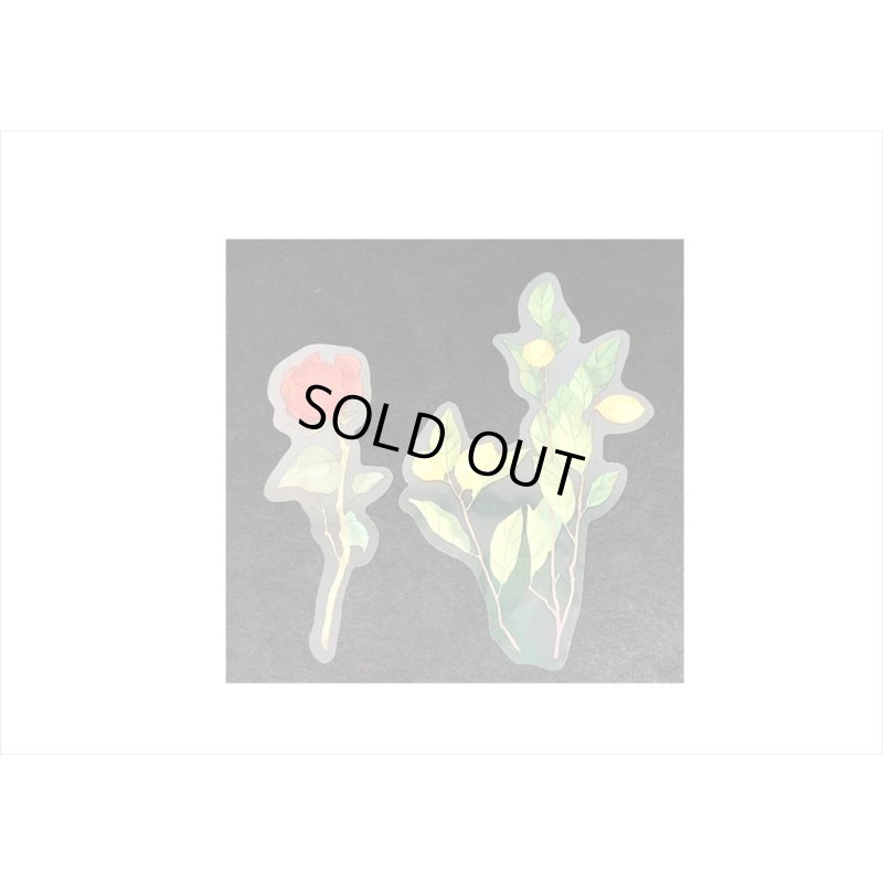 画像13: フラワー・薔薇とボトル＊PETシール＊21枚＊海外製